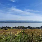 Kirchenfeld 公寓 *