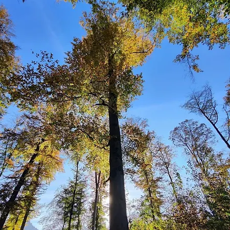 Apartmán Kirchenfeld *