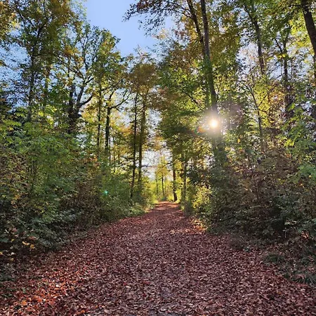 Kirchenfeld Apartmán Bern