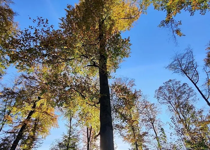 Апартаменты Kirchenfeld *