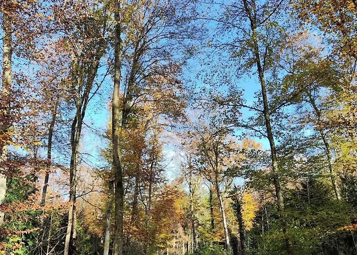 Апартаменты Kirchenfeld