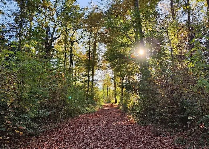 Kirchenfeld Апартаменты Берн