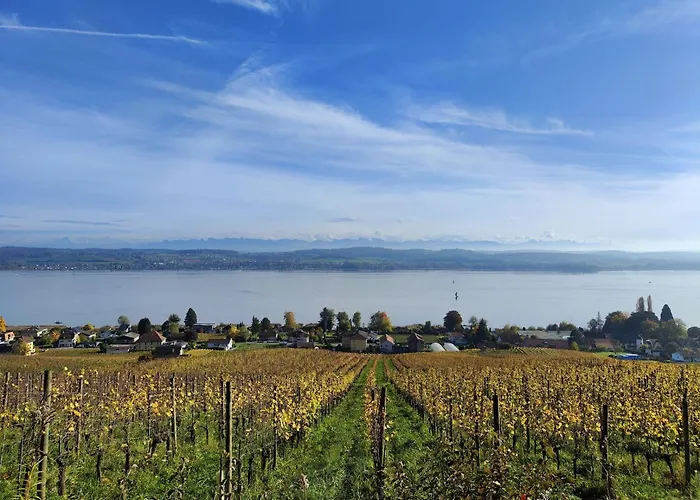 Kirchenfeld 公寓 *